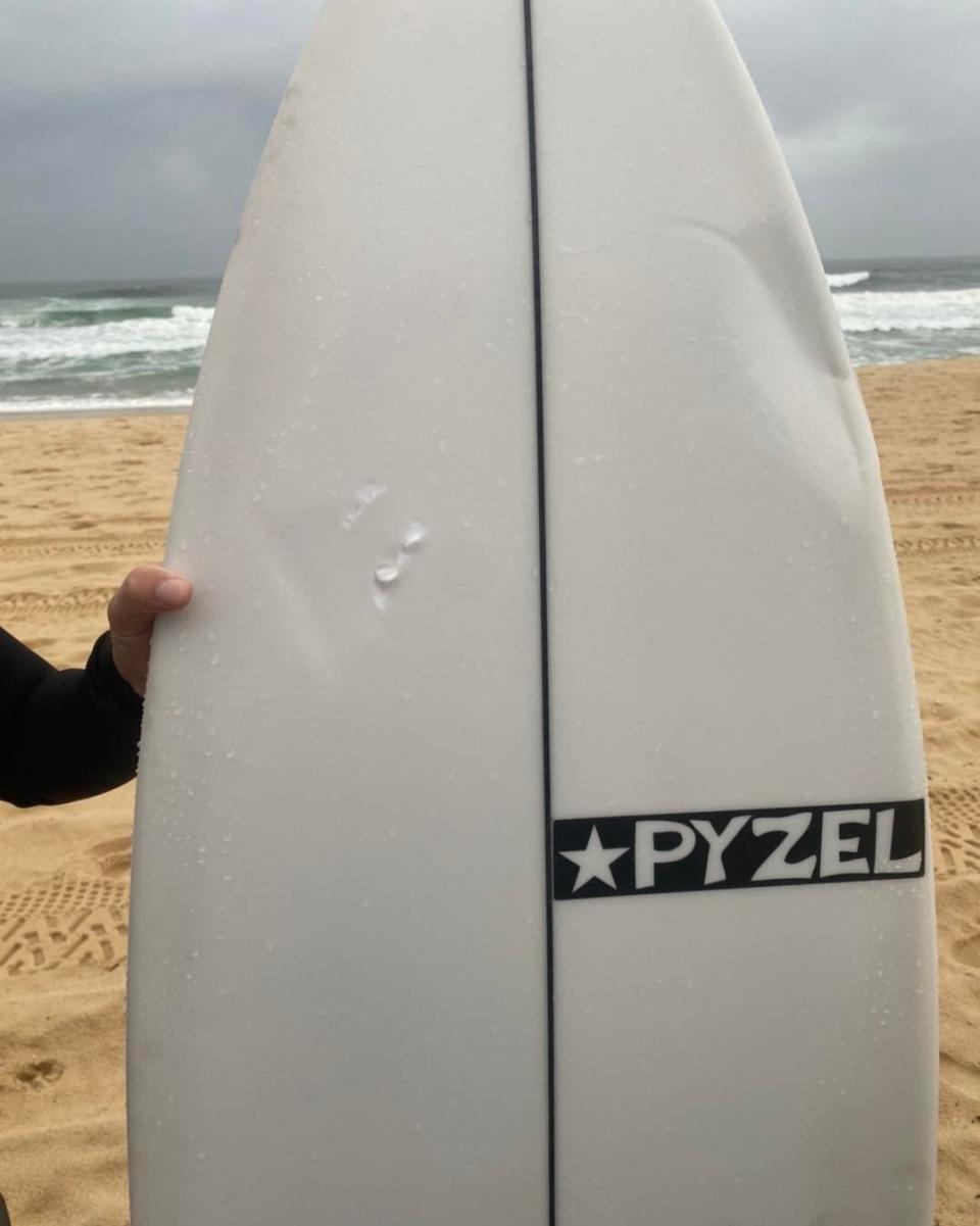 Pictured is the surfboard which the shark latched on to