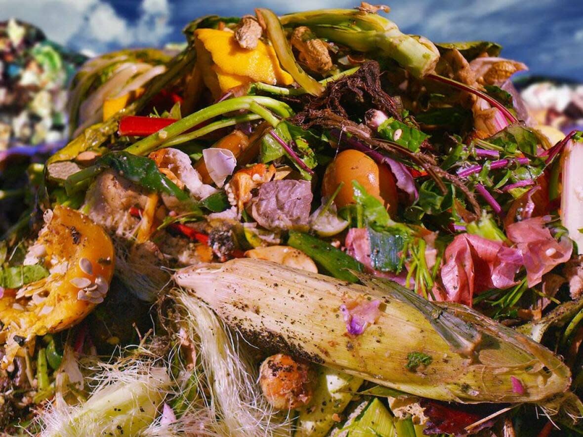 Four high school students asked the Town of Kingsville to reconsider an organic waste diversion program.  (CBC - image credit)