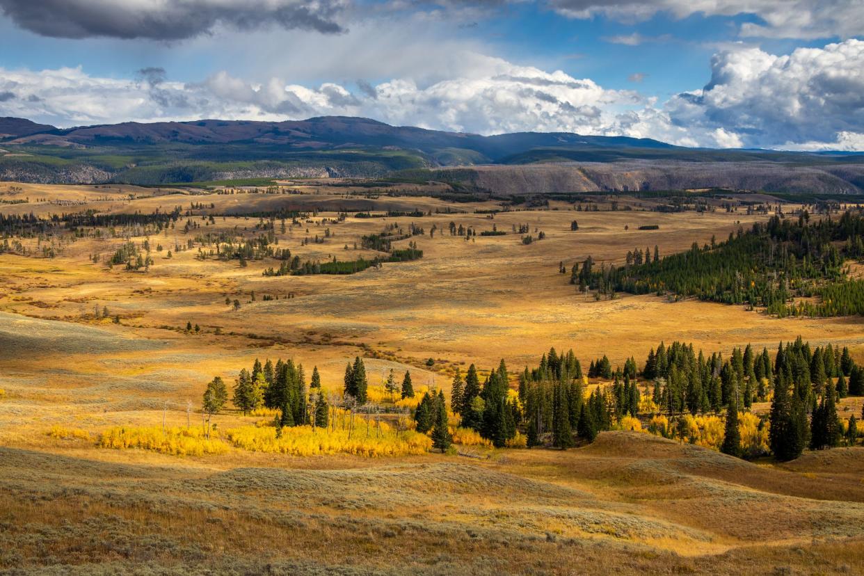 View in Yellowstone National Park