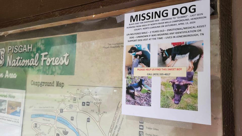 A flyer about a missing dog hangs near the entrance to North Mills River Campground in Mills River. The dog belonged to Hayden Brook, who was allegedly shot and killed by sheriff's deputies at North Mills River Campground on April 13.