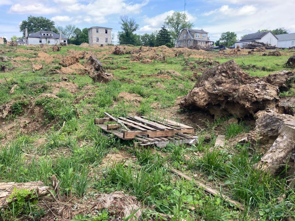 "They've done nothing since last February," said Donna Lorenz, who lives next to the Dunkin' Donuts property on W. Maple Avenue in Middletown. Some of the holes where trees were removed are about eight feet deep.