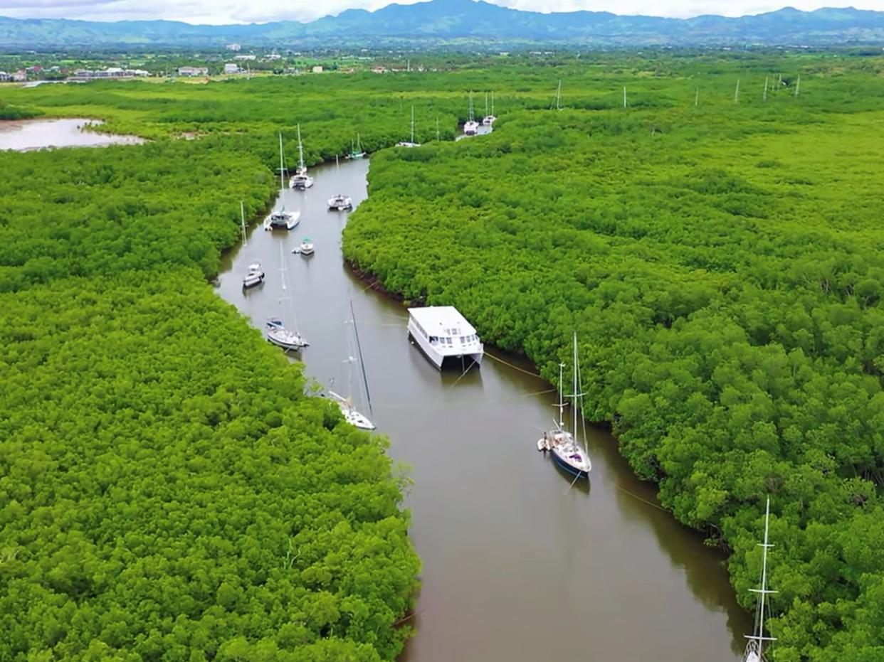 Boats sheltering in a mangrove-lined channel ahead of Cyclone Yasa in Fiji last month. Mangroves are an important nature-based solution that can help communities adapt to the impacts of the climate crisis (RICHARD MARSHALL via REUTERS)