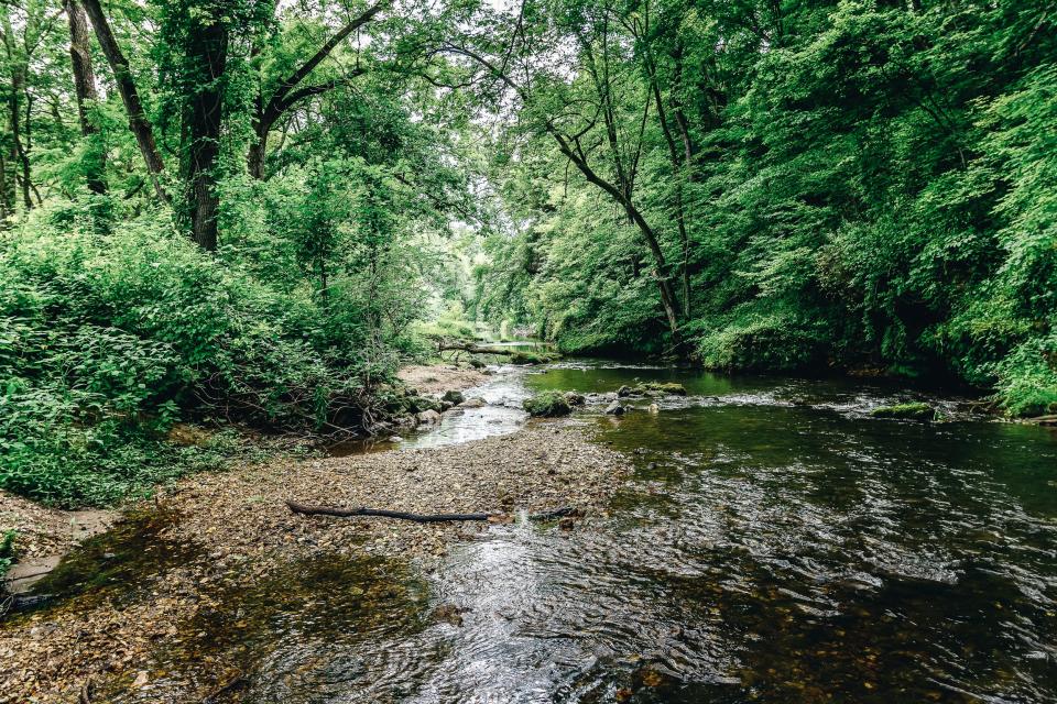 Backbone State Park, Iowa