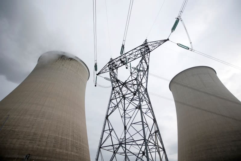 La ministre de l'Ecologie et de l'Energie, Ségolène Royal, a déclaré dimanche qu'elle était prête à donner son feu vert au prolongement de dix ans de la vie des centrales nucléaires françaises, sous réserve d'un avis positif de l'autorité de sûreté nucléaire (ASN). /Photo d'archives/REUTERS/Charles Platiau