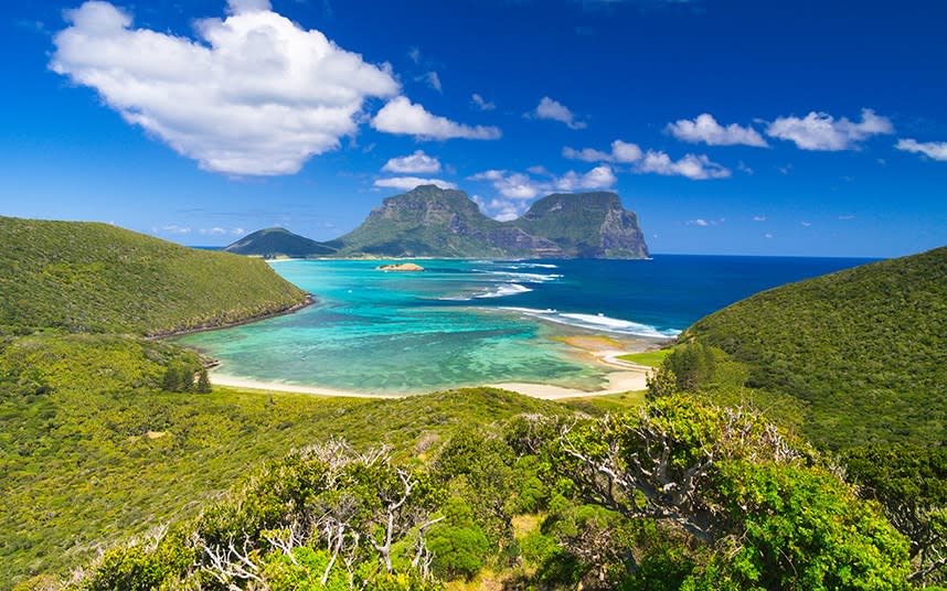 Lord Howe Island firmly was seemingly established as the stuff of nature lovers’ dreams - 2009 Ashley Whitworth