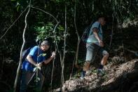 More than 90 percent of Brazil's Atlantic Forest has been lost since the Portuguese first arrived in the country -- to make way for coffee plantations, sugar cane fields, mining, cattle grazing or cities