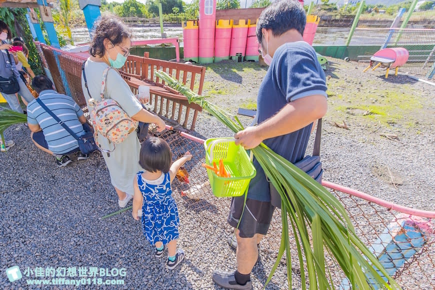 宜蘭｜可達休閒羊場