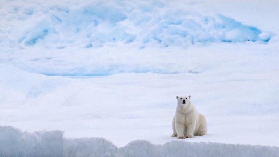 The Northwest Passage: From Greenland to the Bering Sea, August 23-September 15, 2022