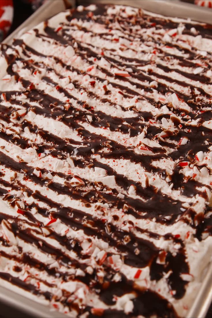 a close up of a chocolate peppermint cake