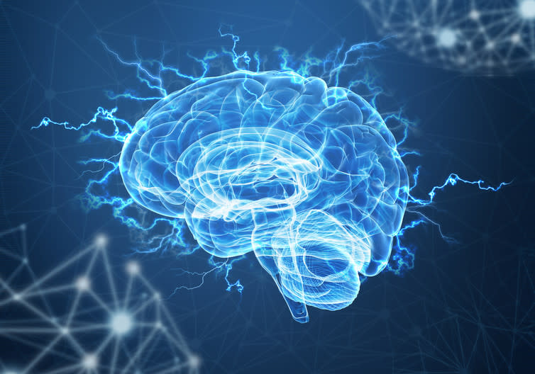 <span class="caption">Intelligence has an uncertain future.</span> <span class="attribution"><a class="link " href="https://www.shutterstock.com/image-illustration/human-brain-on-blue-background-548529760?src=vdgpUtziNMnUMvC8omCDow-1-3" rel="nofollow noopener" target="_blank" data-ylk="slk:Shutterstock;elm:context_link;itc:0;sec:content-canvas">Shutterstock</a></span>