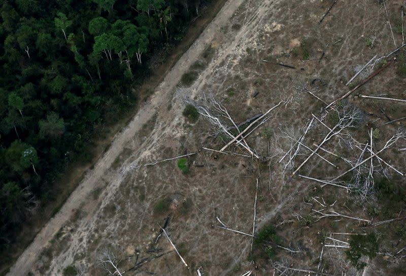 FILE PHOTO: An aerial view shows a deforested plot of the Amazon near Porto Velho