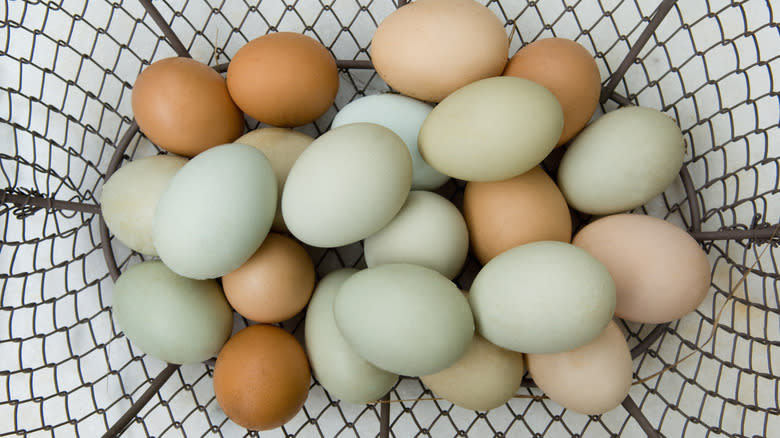multicolored eggs in basket