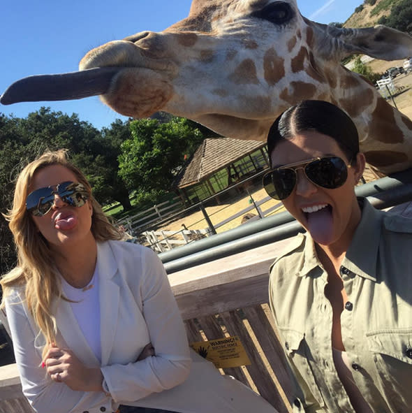 kourtney and khloe kardashian at safari park