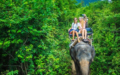 Elephant riding Thailand - Credit: istock