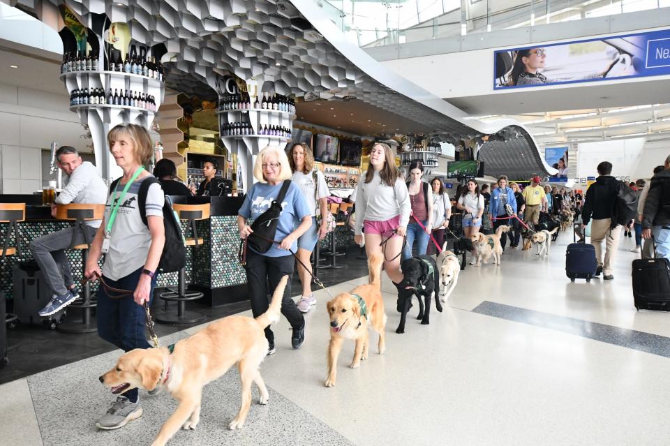 The Morristown-based Seeing Eye resumed its annual guide-dog training at Newark Liberty this month after a three-year hiatus due to the COVID pandemic.
