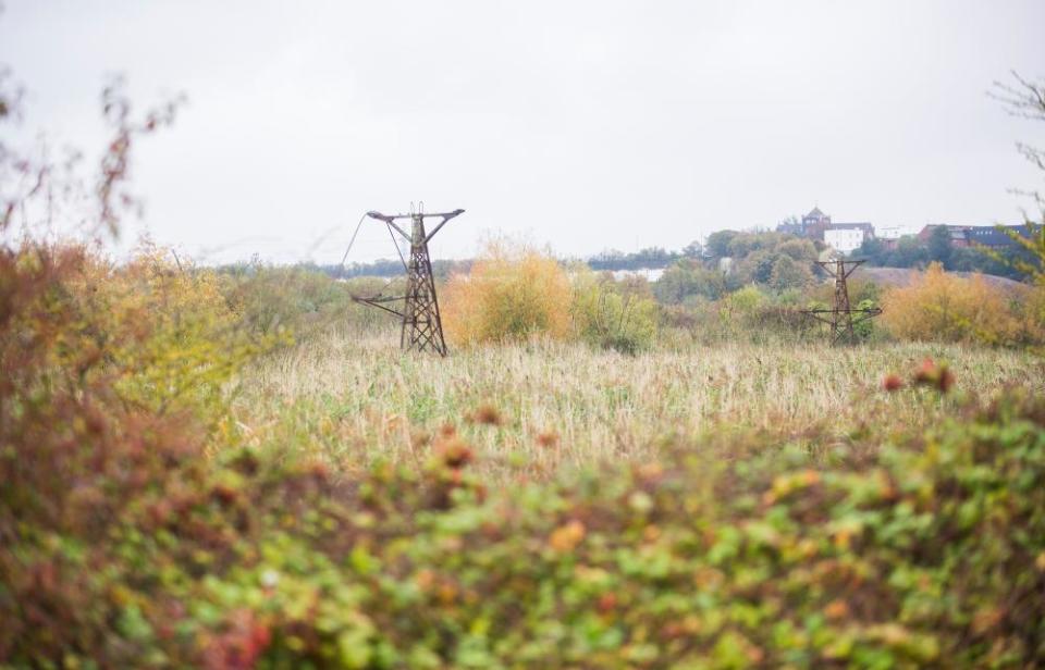 Wild landscape at Swanscombe