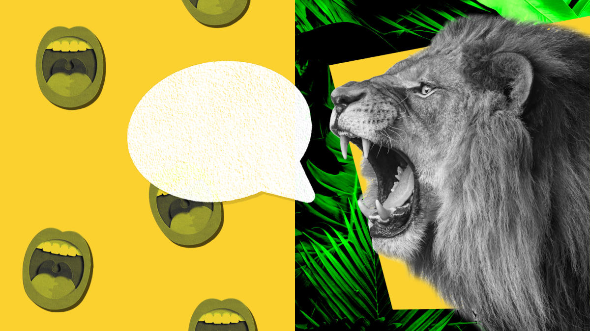 Algorithm discovers that every lion has a unique and trackable roar