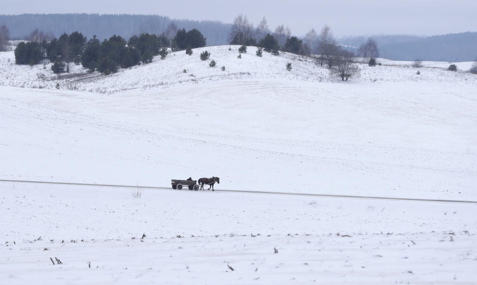 A man rides a traditional cart through the wind in the snow-covered village of Nesutychi, 140 kilometers (87 miles) west of Minsk, Belarus, Saturday, Jan. 12, 2019. Daily temperatures dropped to around - 3 C ( 27 F) in Belarus. (AP Photo/Sergei Grits)