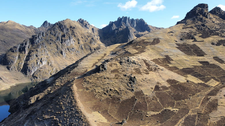 potato plots in Peruvian Andes