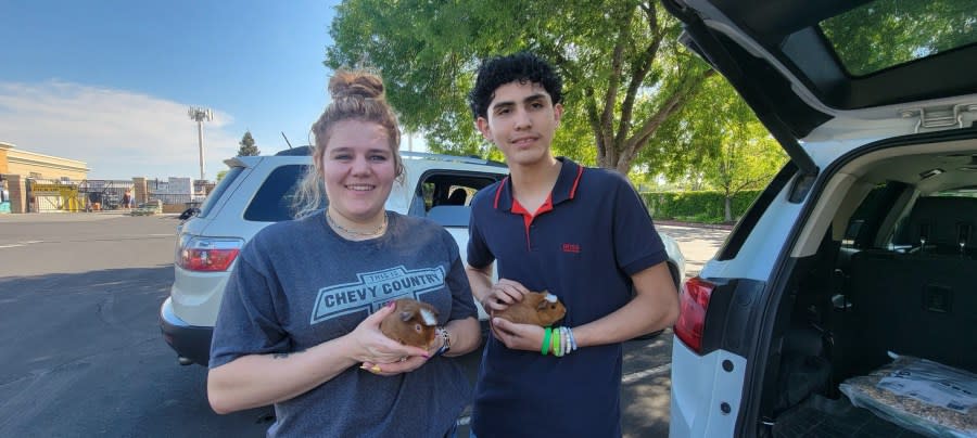 Allison O’Neil with Oswaldo, holding the two new guinea pigs.