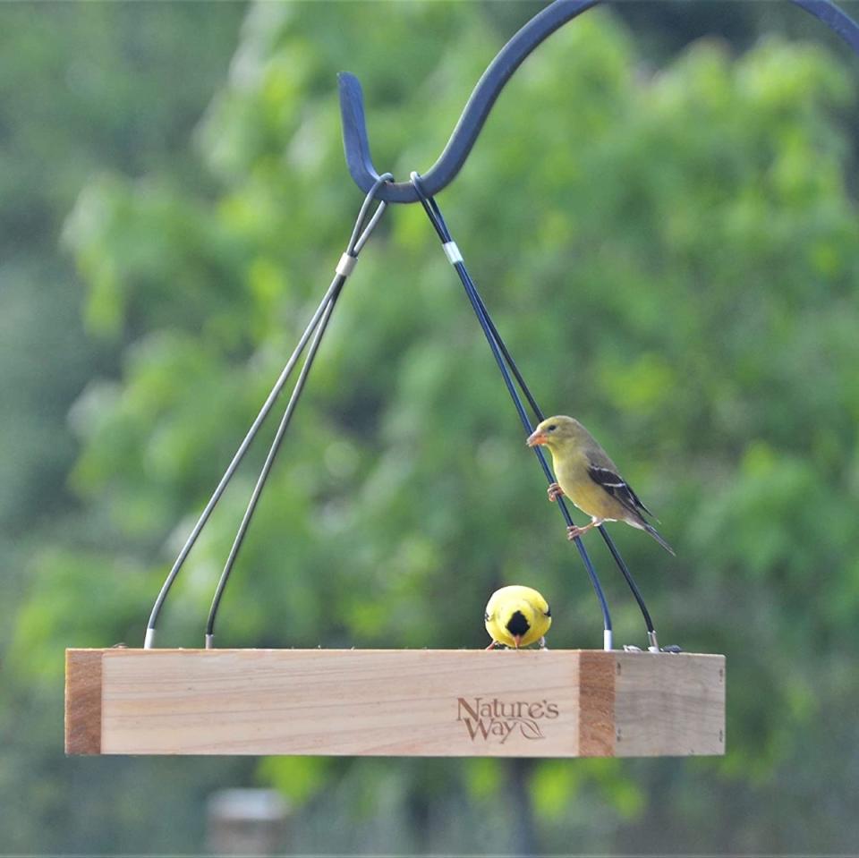 A wooden mealworm feeder hanging from a hook with two small yellow birds perched on it