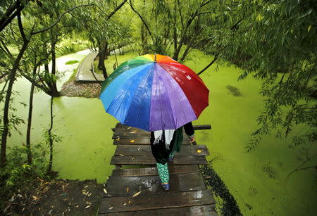 A Kashmiri woman walks on a footbridge as it rains in Srinagar, June 24, 2015. REUTERS/Danish Ismail