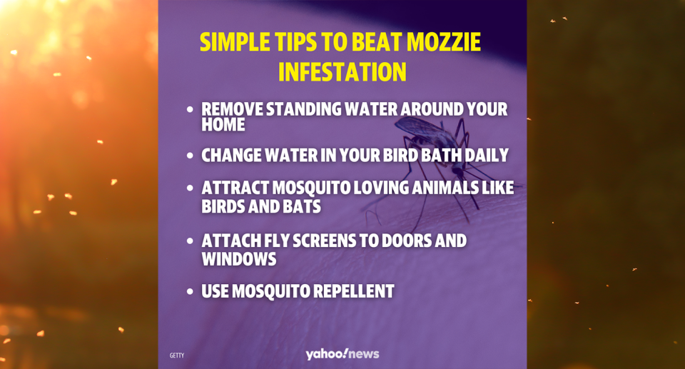 A list of tips that can help people prevent mosquito infestation.