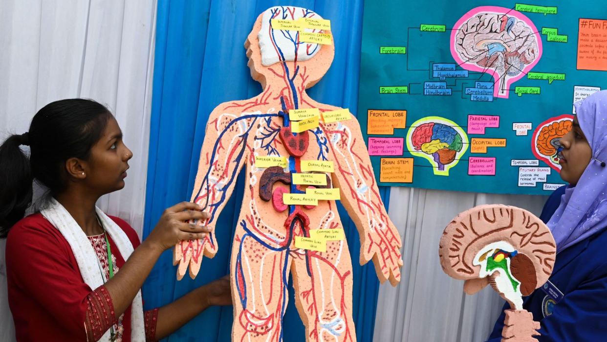  a school age girl with dark brown skin presents a simplified diagram of the human body to a teacher. the diagram depicts various organ systems and is labelled with yellow sticky ntoes 