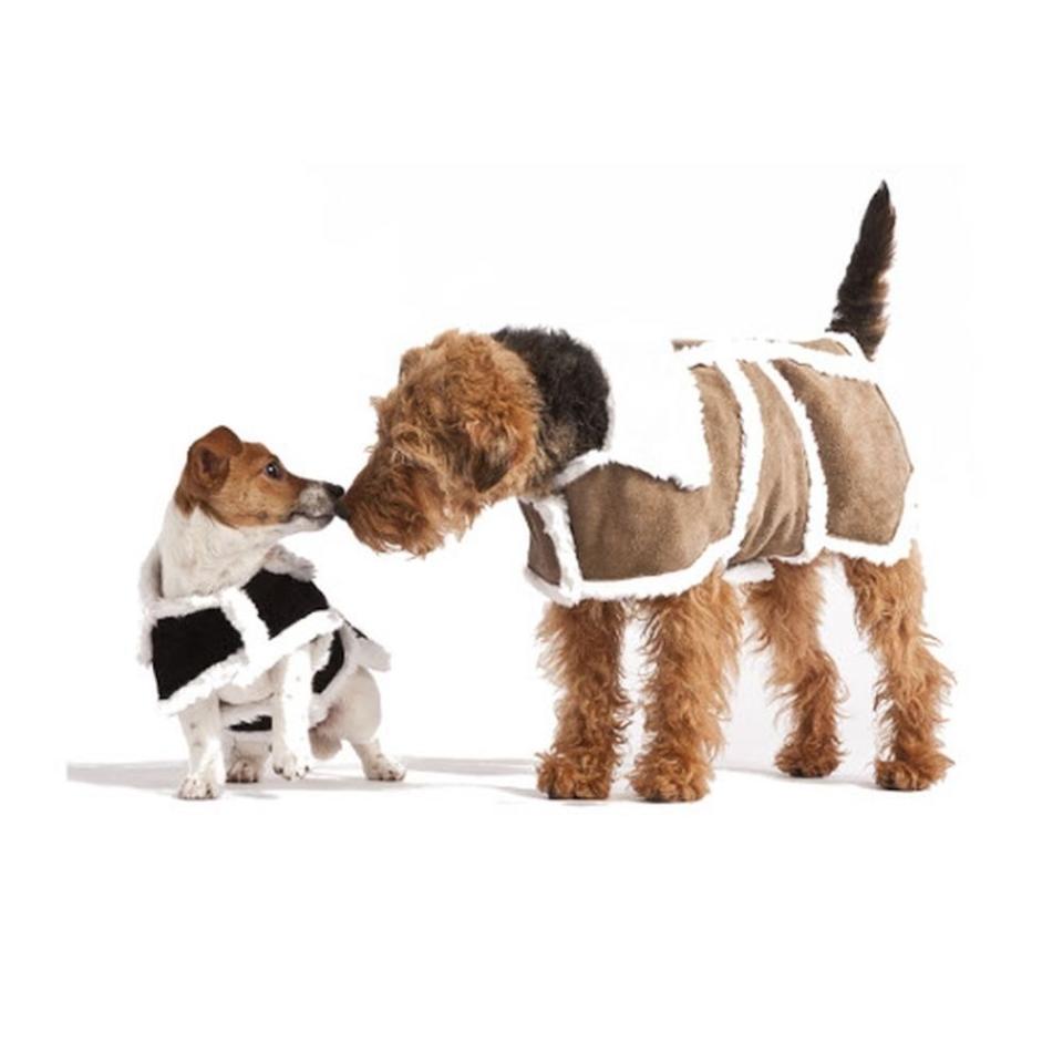 Hailey & Oscar Sherpa Leather Dog Coat, from £29.99