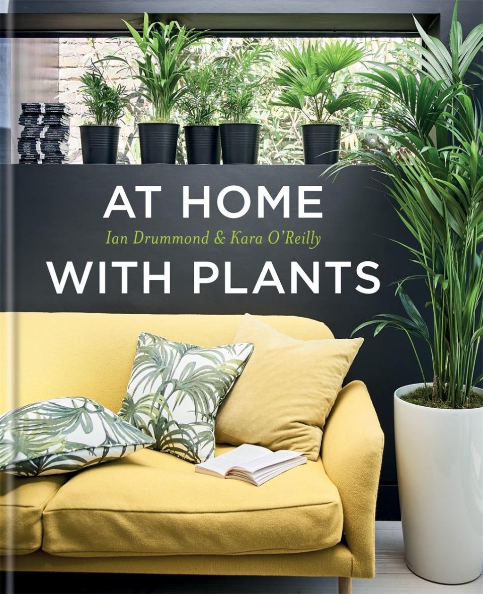 <p>At Home with Plants by Ian Drummond & Kara O'Reilly, published by Mitchell Beazley, £20 via <a href="https://www.octopusbooks.co.uk/books/detail.page?isbn=9781784721947" rel="nofollow noopener" target="_blank" data-ylk="slk:www.octopusbooks.co.uk;elm:context_link;itc:0;sec:content-canvas" class="link ">www.octopusbooks.co.uk</a>.</p><p><a class="link " href="https://www.amazon.co.uk/At-Home-Plants-Ian-Drummond/dp/1784721948?tag=hearstuk-yahoo-21&ascsubtag=%5Bartid%7C2060.g.151%5Bsrc%7Cyahoo-uk" rel="nofollow noopener" target="_blank" data-ylk="slk:BUY NOW;elm:context_link;itc:0;sec:content-canvas">BUY NOW</a></p><p>Photos © Nick Pope.</p><p><strong>Like this article?<a href="https://hearst.emsecure.net/optiext/cr.aspx?ID=DR9UY9ko5HvLAHeexA2ngSL3t49WvQXSjQZAAXe9gg0Rhtz8pxOWix3TXd_WRbE3fnbQEBkC%2BEWZDx" rel="nofollow noopener" target="_blank" data-ylk="slk:Sign up to our newsletter;elm:context_link;itc:0;sec:content-canvas" class="link ">Sign up to our newsletter</a> to get more articles like this delivered straight to your inbox.</strong></p><p><a class="link " href="https://hearst.emsecure.net/optiext/cr.aspx?ID=DR9UY9ko5HvLAHeexA2ngSL3t49WvQXSjQZAAXe9gg0Rhtz8pxOWix3TXd_WRbE3fnbQEBkC%2BEWZDx" rel="nofollow noopener" target="_blank" data-ylk="slk:SIGN UP;elm:context_link;itc:0;sec:content-canvas">SIGN UP</a></p>