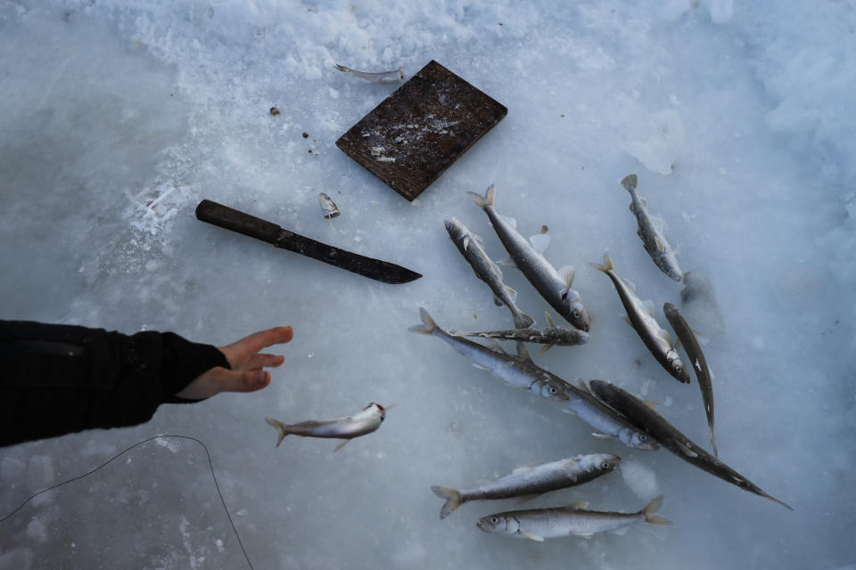 Sophie Woods tosses a fish while ice fishing on the Bering Sea Saturday, Jan. 18, 2020, near Toksook Bay, Alaska. The first Americans to be counted in the 2020 Census starting Tuesday, Jan. 21, live in this Bering Sea coastal village. The Census traditionally begins earlier in Alaska than the rest of the nation because frozen ground allows easier access for Census workers, and rural Alaska will scatter with the spring thaw to traditional hunting and fishing grounds. (AP Photo/Gregory Bull)