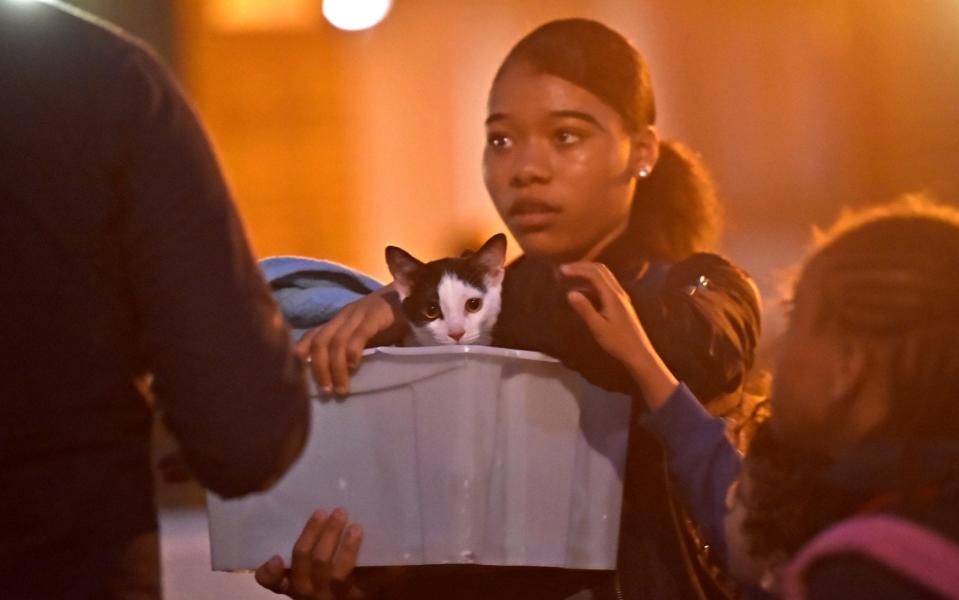A resident and a cat are evacuated from the Taplow Tower residential block - Credit: REUTERS/Hannah McKay