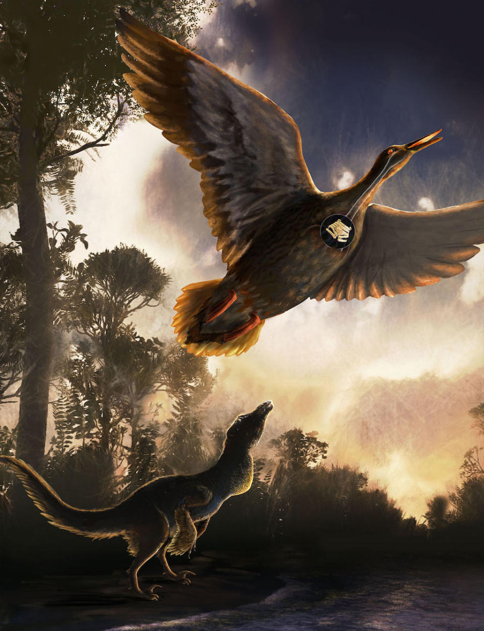 Oldest Known Avian 'Squawk Box' Helped Ancient Bird Quack