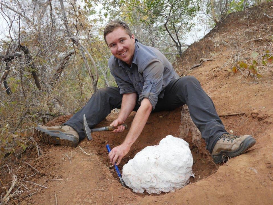 Christopher Griffin in 2017, excavating part of the Mbiresaurus raathi skeleton, wrapped in a plaster field jacket. / Credit: Stephen Tolan, for the Paleobiology & Geobiology Research Group at Virginia Tech