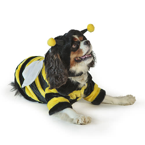 Bumble Bee