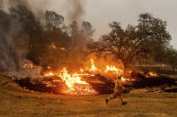 A firefighter runs past flames while battling the Glass Fire in a Calistoga, Calif., vineyard Thursday, Oct. 1, 2020. (AP Photo/Noah Berger)