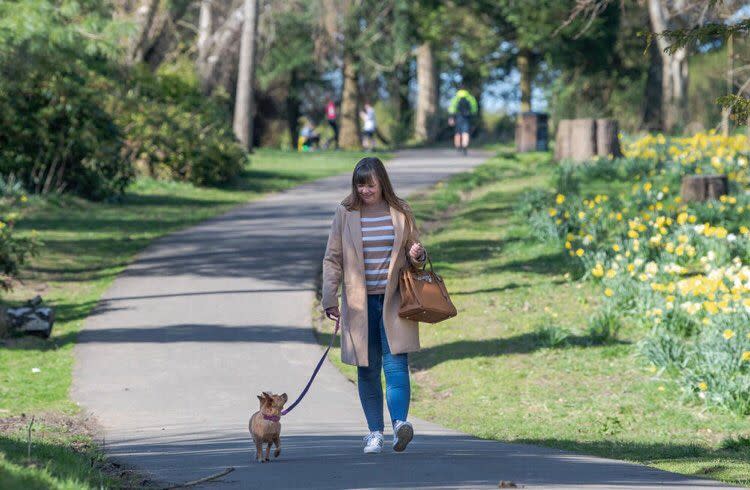 Wendy Andrew says people suffer grief differently when their pets die (The Faithful Hound Photography)