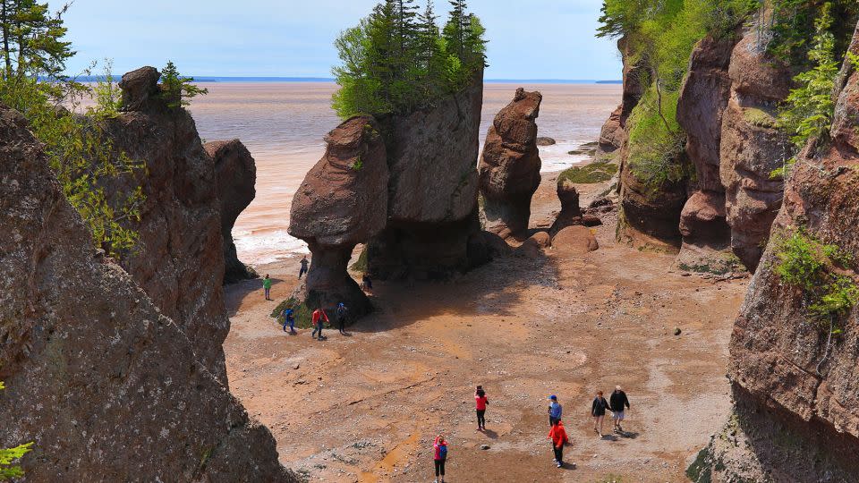 Tourists walk along the beach at low tide along the Bay of Fundy. - Eric Carr/Alamy Stock Photo