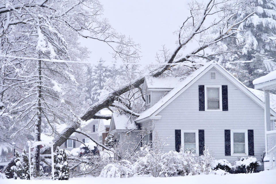 A tree brought down by a winter storm rests on a house, Tuesday, March 14, 2023, in Pittsfield, Mass. The New England states and parts of New York are bracing for a winter storm due to last into Wednesday. (Ben Garver/The Berkshire Eagle via AP)