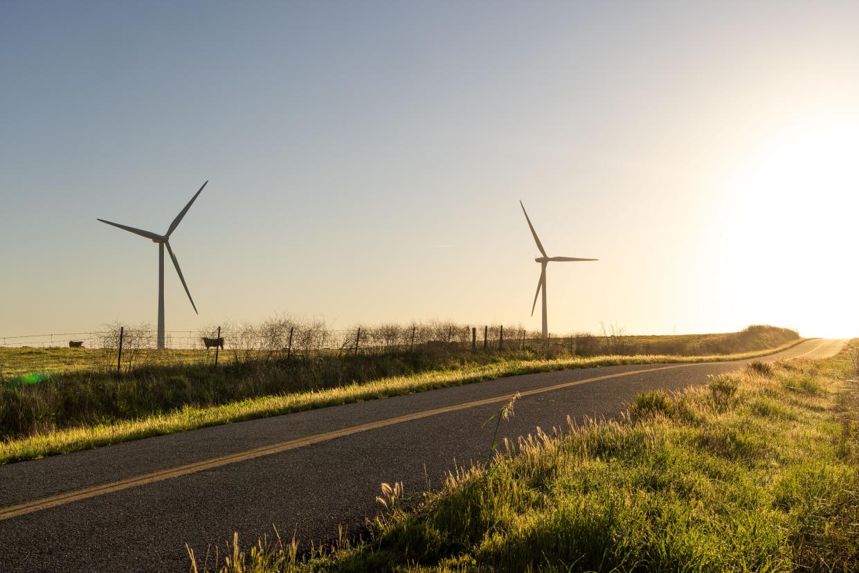 Gravel road with grass fields, wind turbines and cows