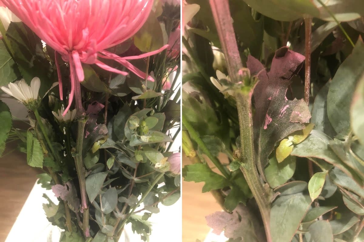 Woolworths flower bouquet with paint residue