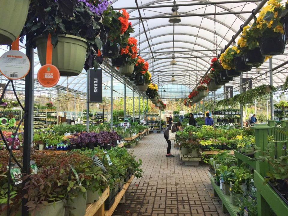 Shop for End-of-Season Plants