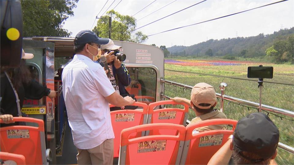 期間限定！屏東鳳梨彩帽田成打卡熱點