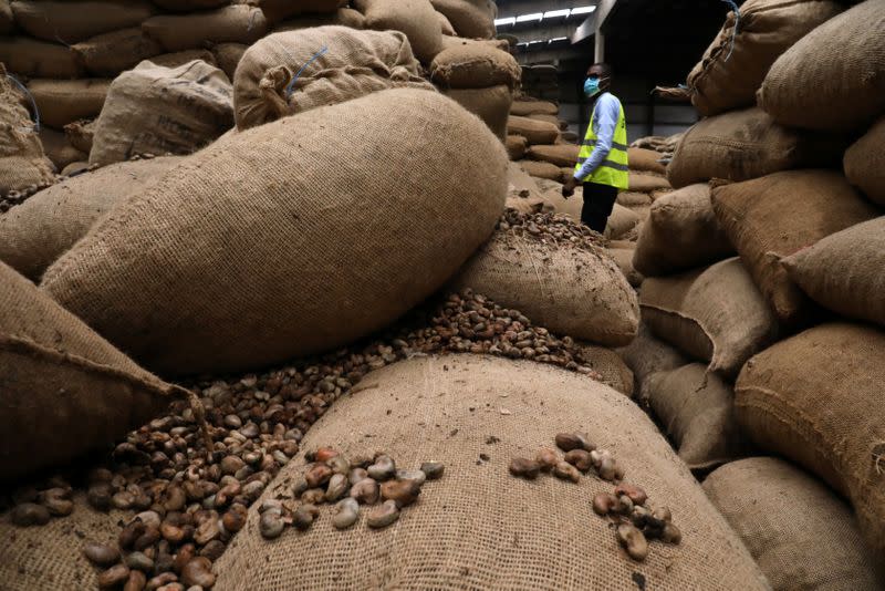 Cashew nut warehouse operations during COVID-19 in Abidjan