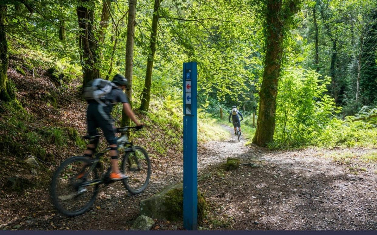 Mountain biking in the Galloway Forest Park, Dumfries and Galloway, Scotland - www.alamy.com