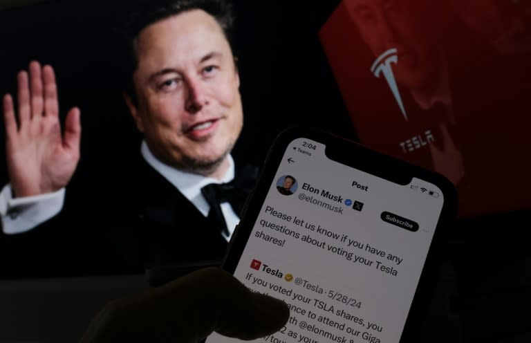 Tech billionaire Elon Musk is encouraging shareholders in electric automaker Tesla to vote in favor of a plan that includes a massive pay package for the company's founder and chief executive (Chris DELMAS)