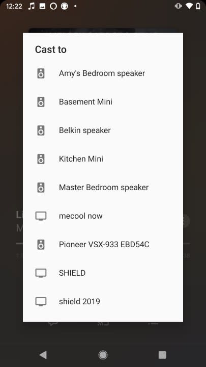 A list of available audio-capable Chromecast devices.