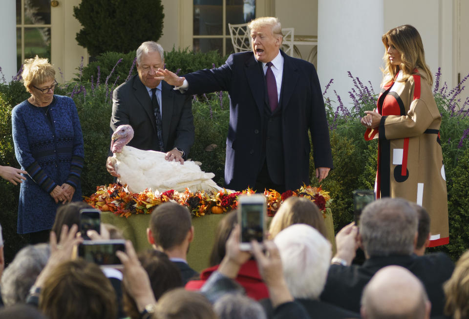 President Trump pardons Peas as he and first lady Melania Trump participate in a ceremony to pardon the National Thanksgiving Turkey in the Rose Garden of the White House in Washington on Tuesday. (Photo: Carolyn Kaster/AP)