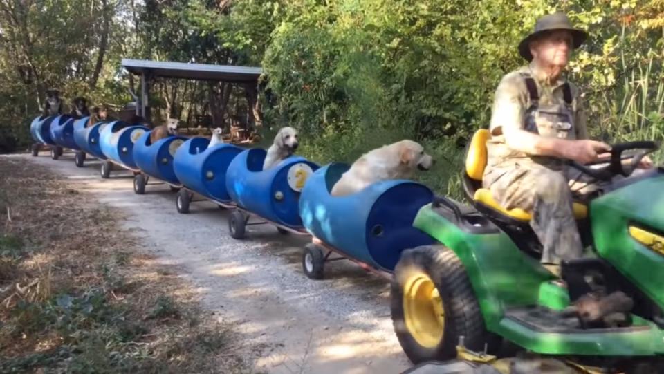 a man drives a John Deere tractor and pulls several blue round train cars with different types of dogs in them for a dog train