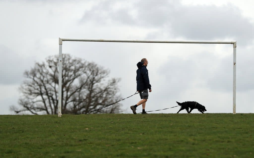 A man enjoys the mild weather as he walks his dog in Stoke Park, Guildford (Adam Davy/PA) (PA Archive)